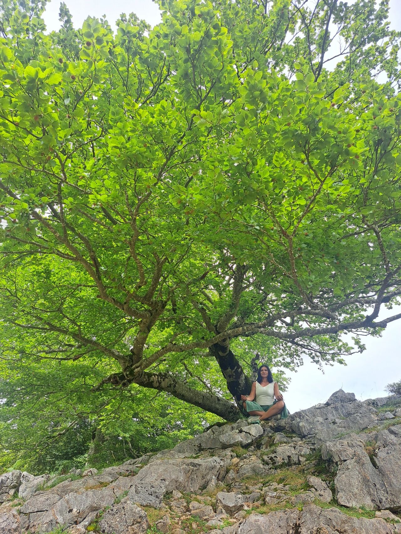 María Eugenia meditando bajo un gran árbol en la montaña